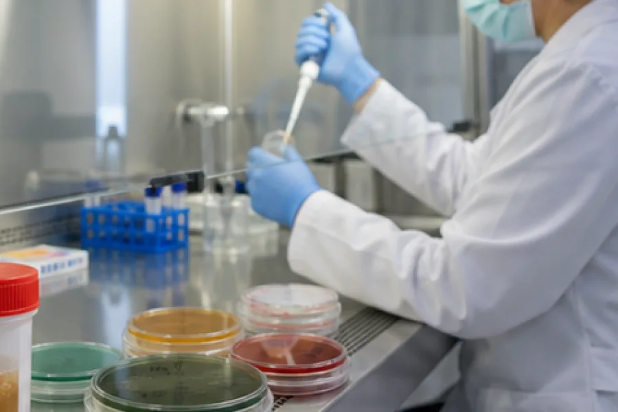 Salmonella Testi uygulamasi, 3. gorunum - Izmir Pusula OSGB Torbali