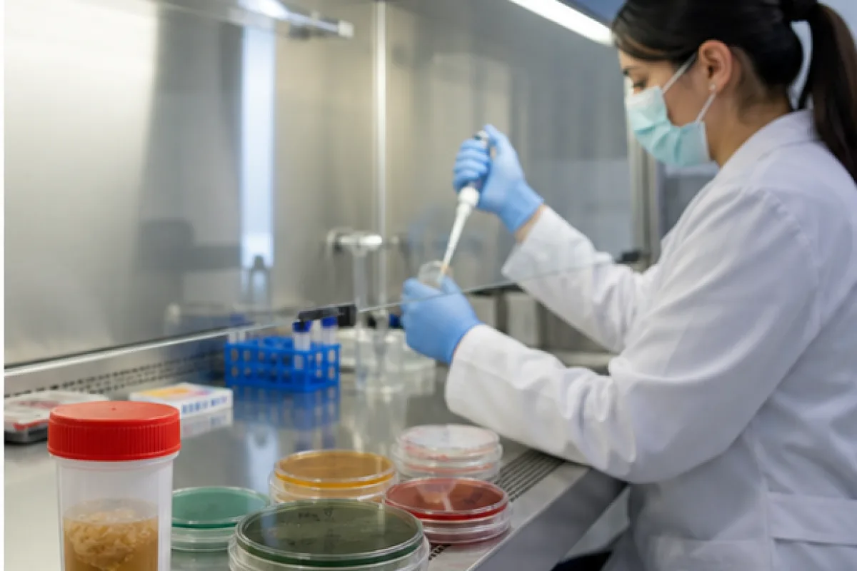 Salmonella Testi uygulamasi - Izmir Pusula OSGB Torbali